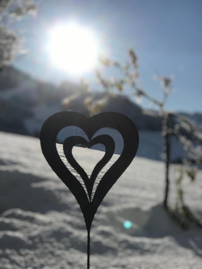 Lehenhof Appartamento Sankt Johann im Pongau