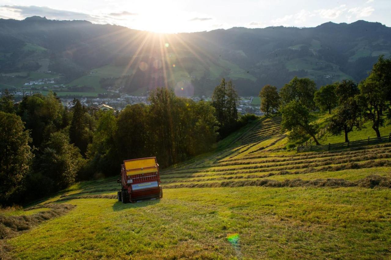 Appartamento Lehenhof